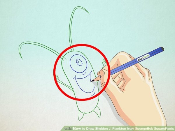 Бланктон легко и просто пошагово