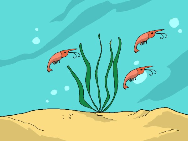 Планктон рисунок география