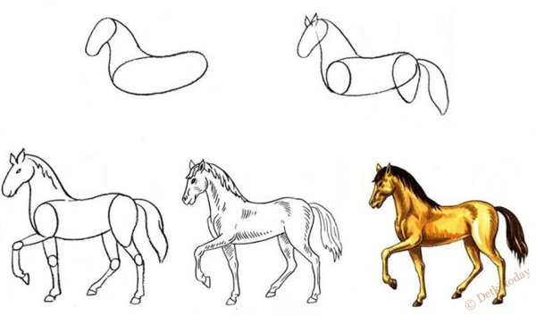 Раскадровка анимации