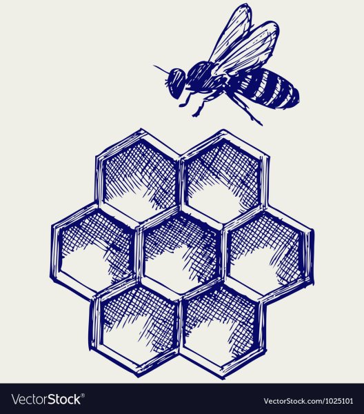 Соты пчелиные печать