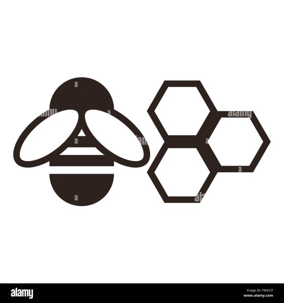 Соты пчелиные карандашом в логотипе