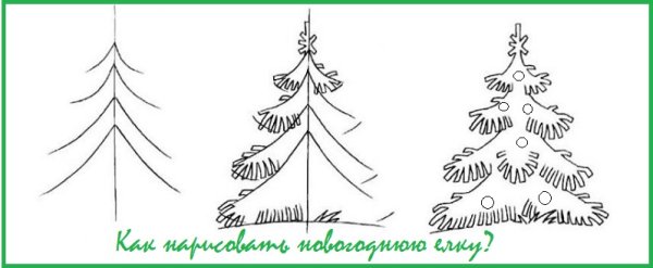 Поэтапное рисование елки
