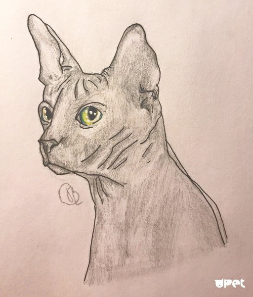 Сфинкс карандашом