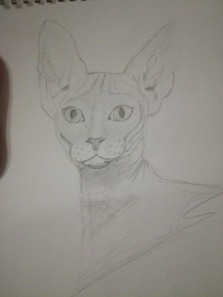 Пошаговое рисование сфинкс