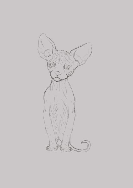 Сфинкс набросок