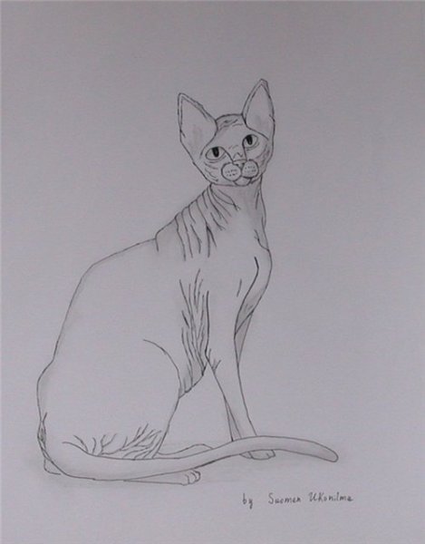 Нарисовать сфинкса карандашом