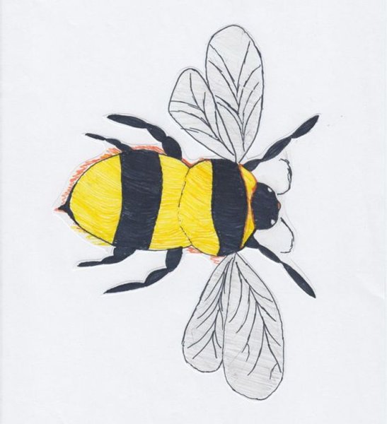 Рисование пчелы