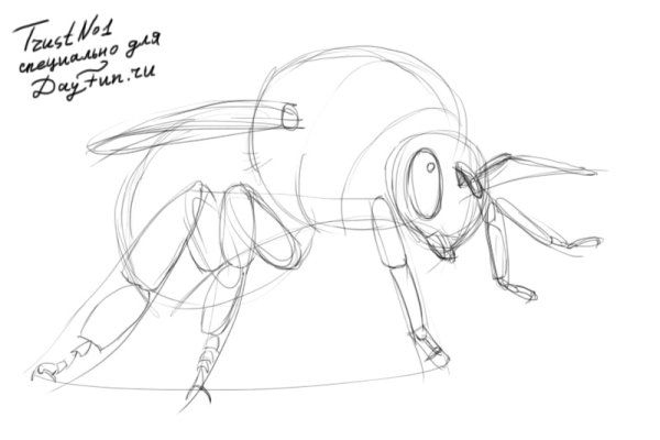 Шмель пошагово рисунок