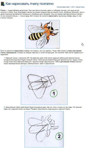 Этапы рисования пчелы