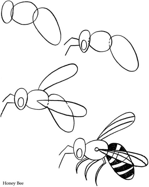 Поэтапное рисование насекомых