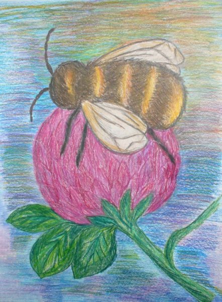 Нарисовать шмеля