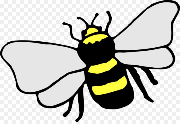 Шмель рисунок