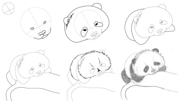 Ослик поэтапное рисование