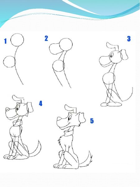 Схемы рисования животных