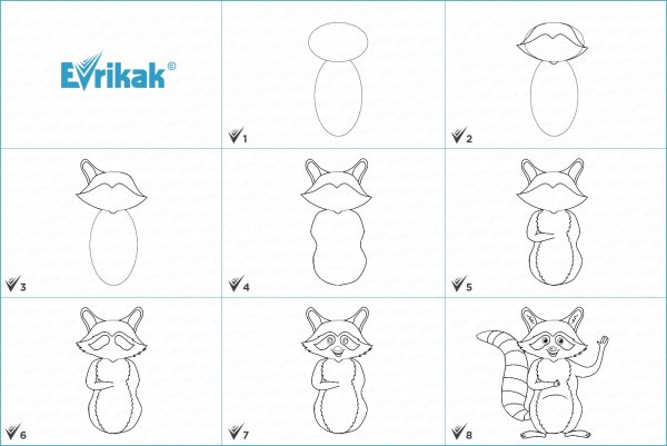 Кенгуру рисунок поэтапно