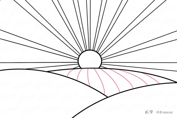 Раскраска поле