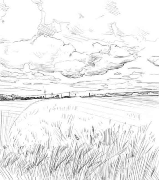 Степь карандашом