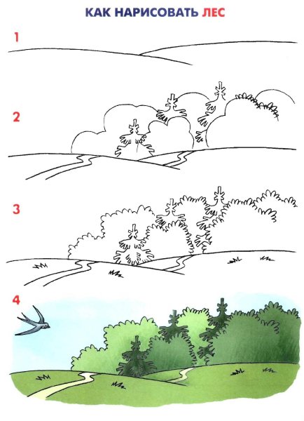Одуванчик рисунок карандашом поэтапно