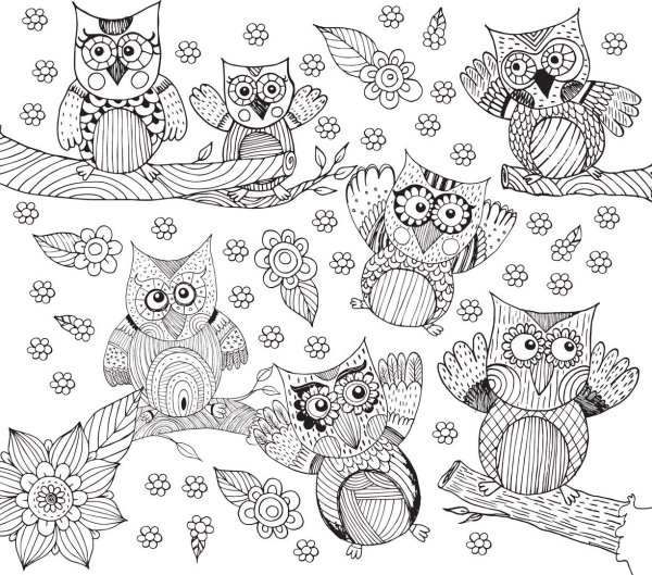 Миллион сов раскраска