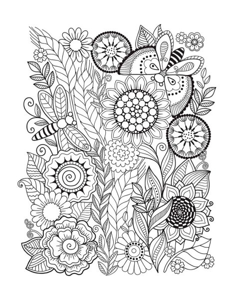 Летние раскраски антистресс