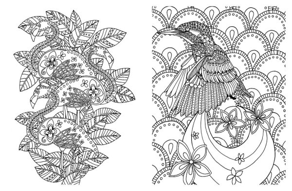 Раскраски для творчества и вдохновения