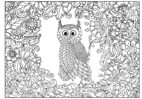 Раскраска Сова с узорами