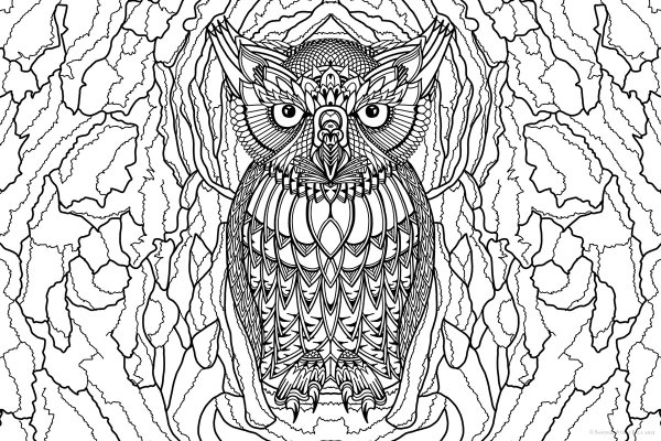 Раскраски мистических сов