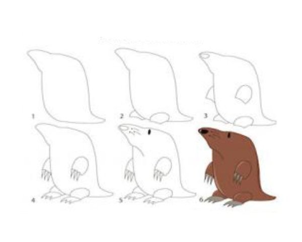 Крот поэтапное рисование