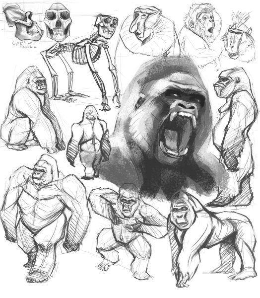 Горилла референц