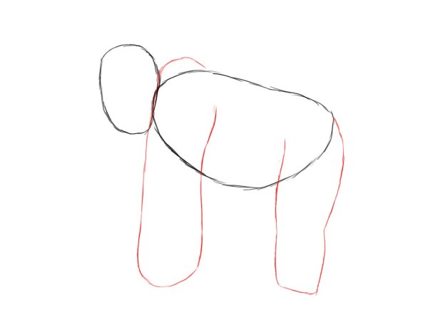 Горилла рисуем поэтапно