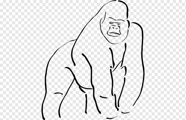 Рисунки одной линией горилла