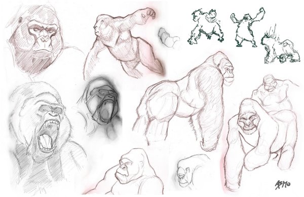 Анатомия гориллы