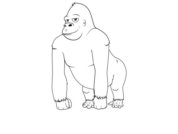 Горилла рисунок легкий
