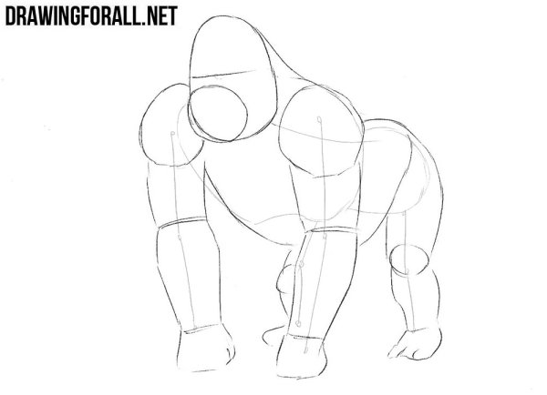 Поэтапное рисование гориллы