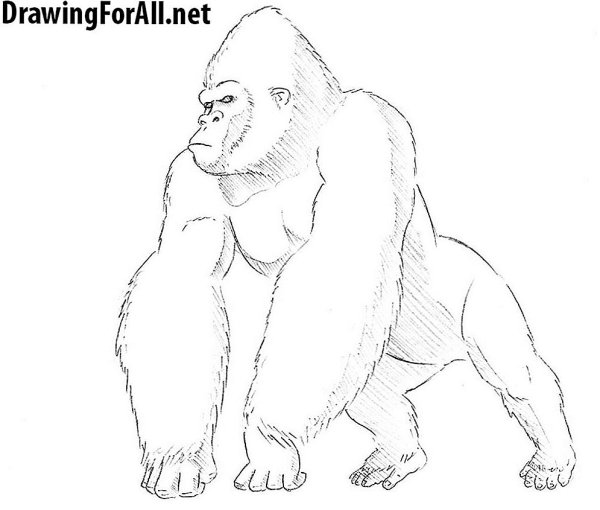 Горилла Кинг Конг раскраска