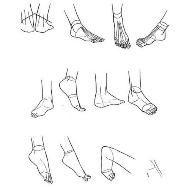 Рисовка стопы