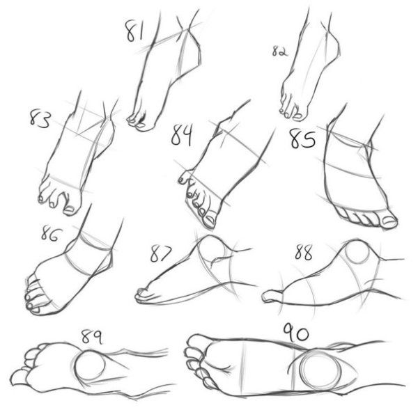 Поэтапное рисование стопы