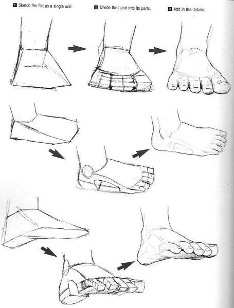 Построение стопы ноги