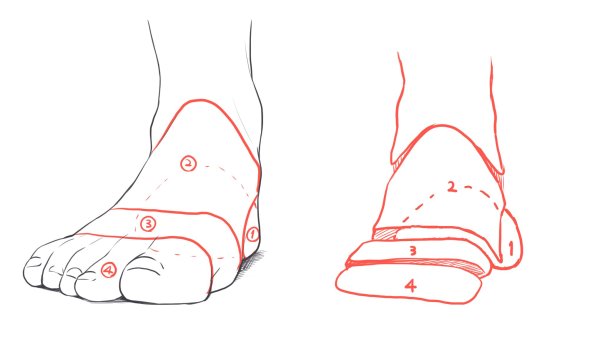 Стопа вид спереди