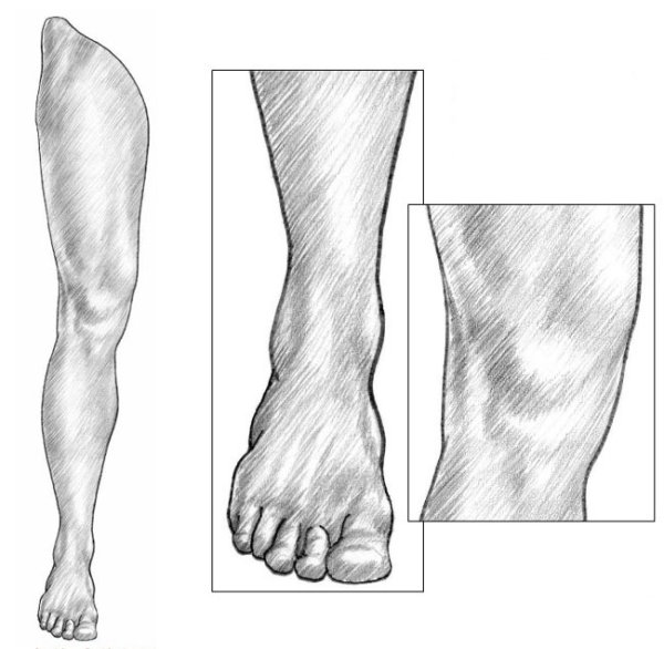 Рисование стопы