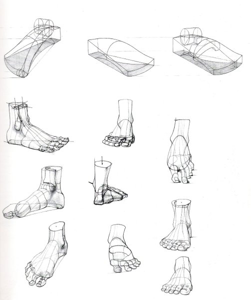 Баммес стопы схемы