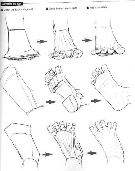 Схема рисования стопы