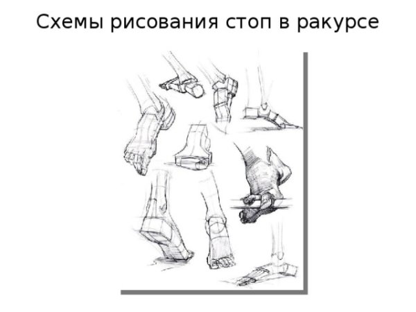 Схема рисования стоп