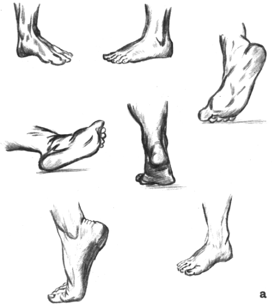 Зарисовки стопы человека