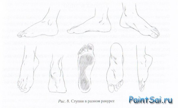 Рисунок конечностей человека ноги в обуви