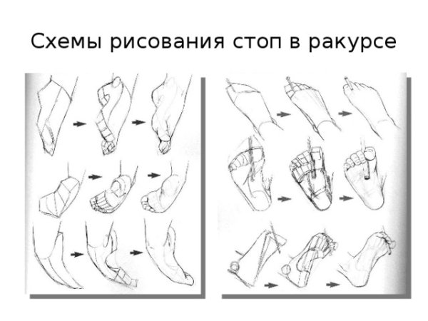 Схема рисования стоп