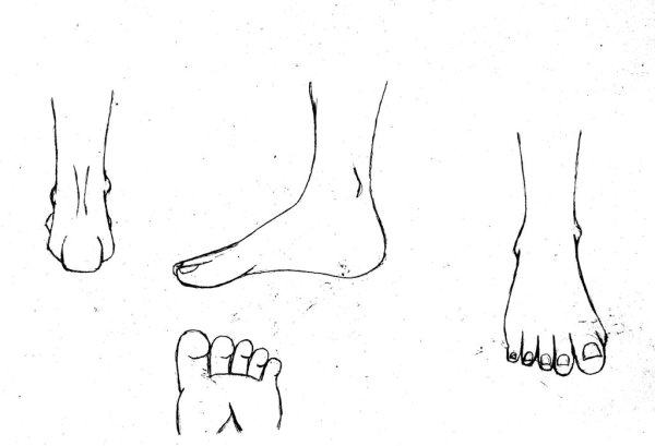 Ноги рисунок