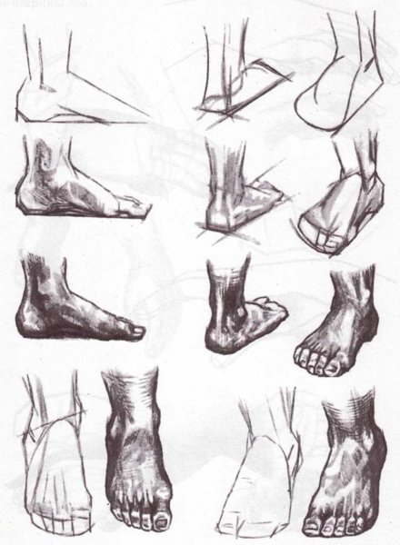 Ноги рисунок