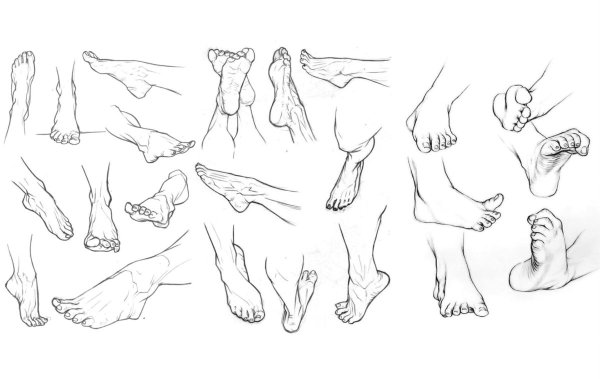 Нога спереди референс