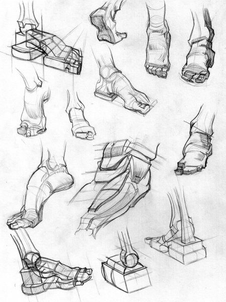 Наброски стопы